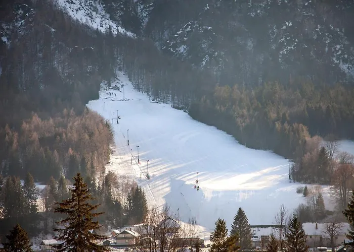 Chic With Finnish Sauna And Jacuzzi Apartment Kranjska Gora